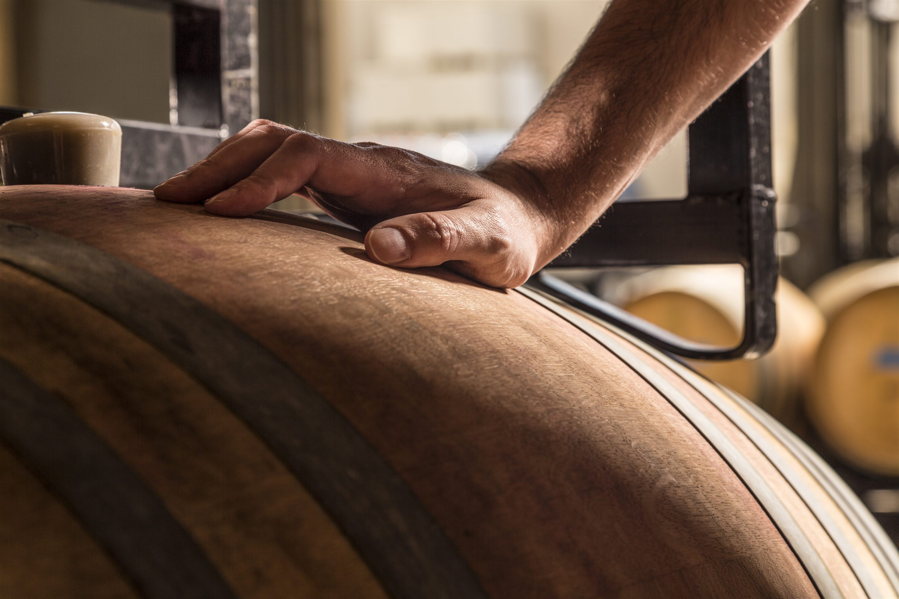 Winemaker's hand resting on a wine barrel